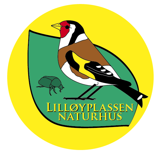 Lilløyplassen naturhus - Høstprogrammet er klart