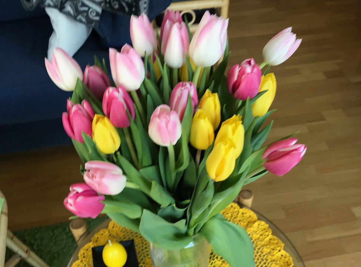 Tulipanaksjonen