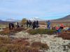 Artikkelbilde til artikkelen Moskussafari med NVIO Oppdal - i fint høstvær