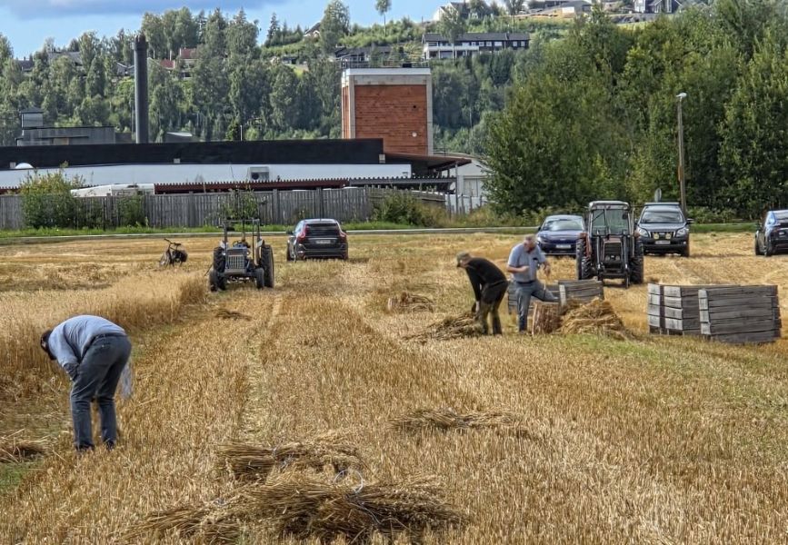 Julenekene er produsert