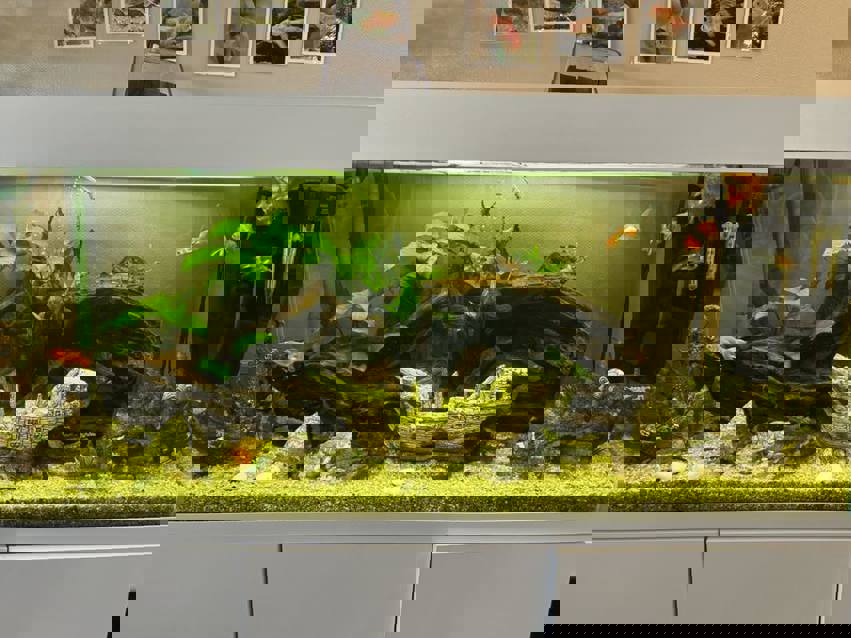 Akvarium