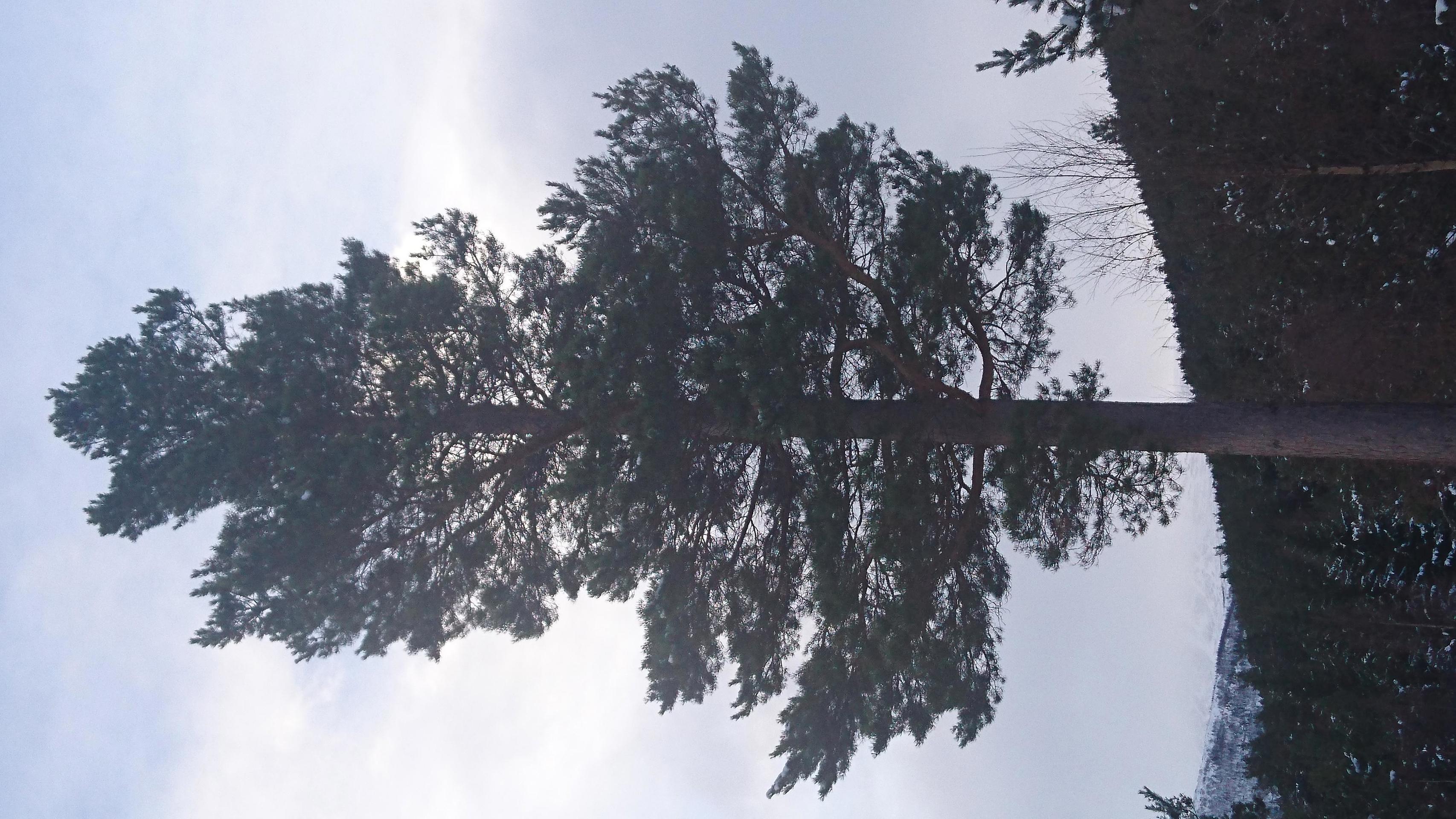 Medlemsmøte 1. oktober