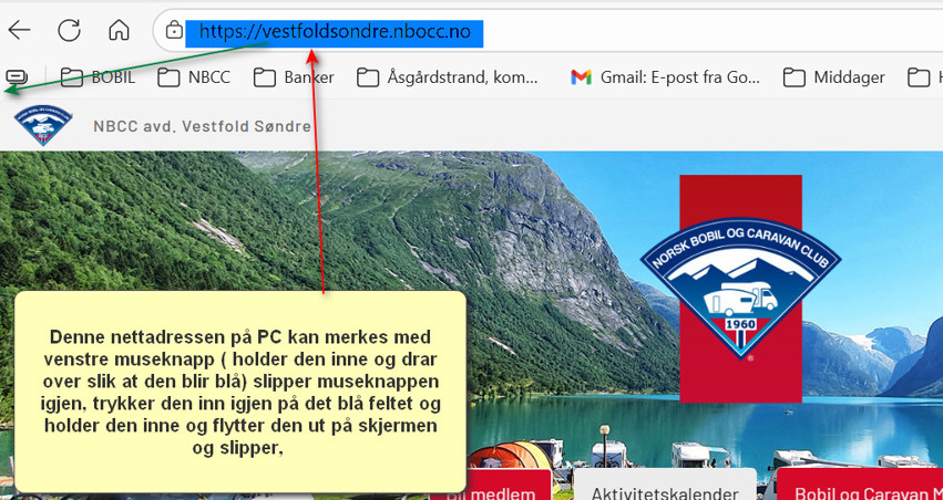 LAGE SNARVEI TIL NETTSIDEN VÅR !?