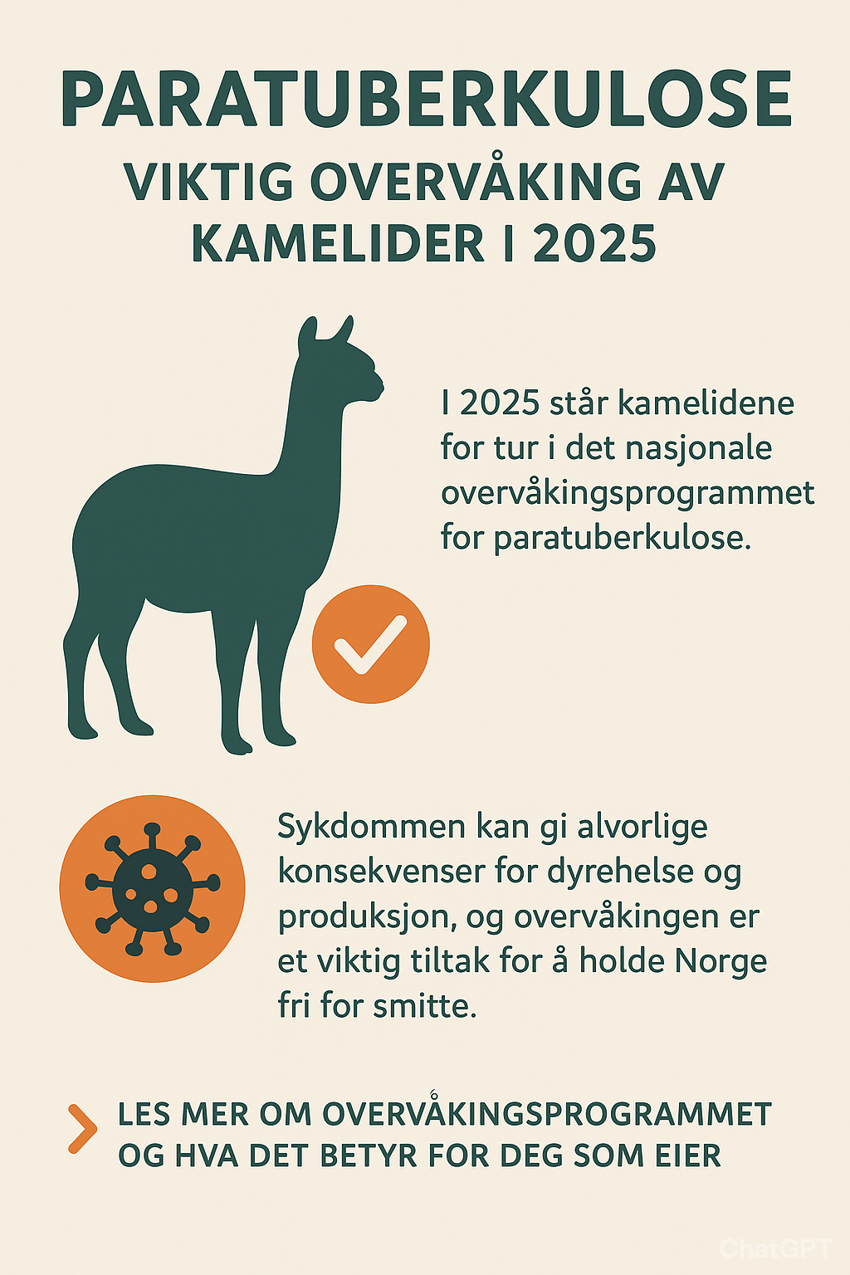 Overvåkingsprogram for paratuberkulose