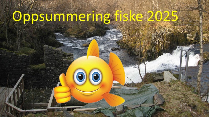 Oppsummering fiske 2025