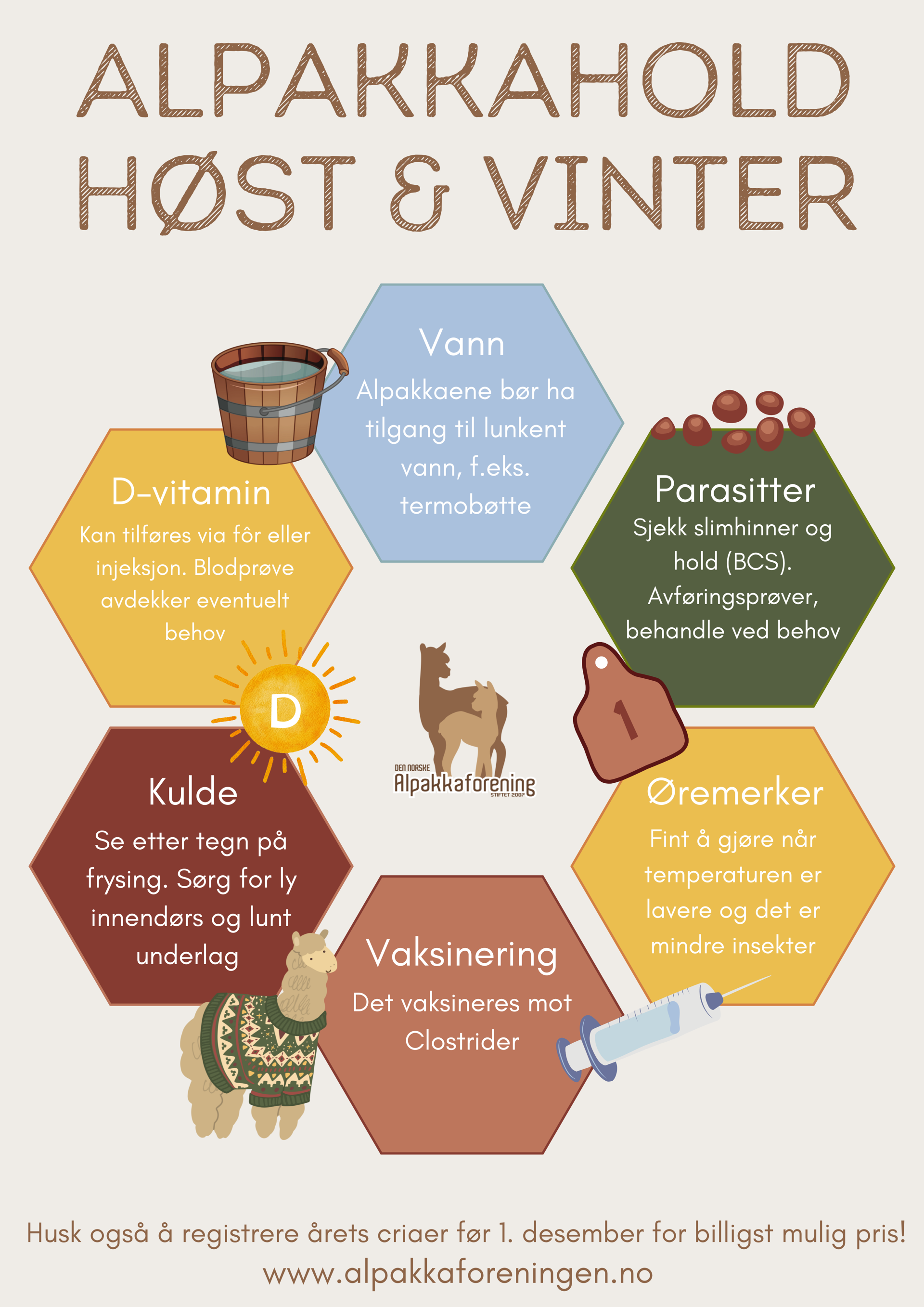 Alpakkahold - Høst og vinter