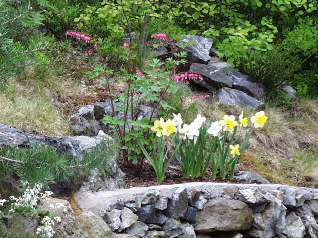 Eksempel blokkredigering