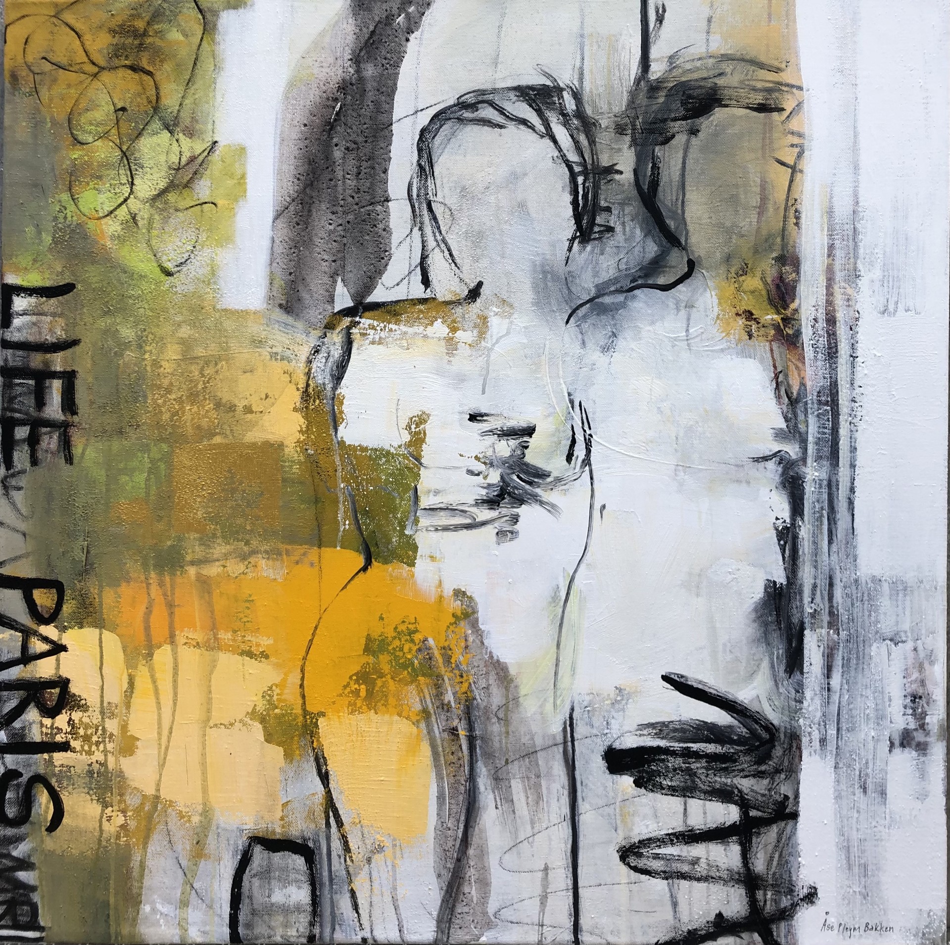 Utstilling Åse Pleym Bakken