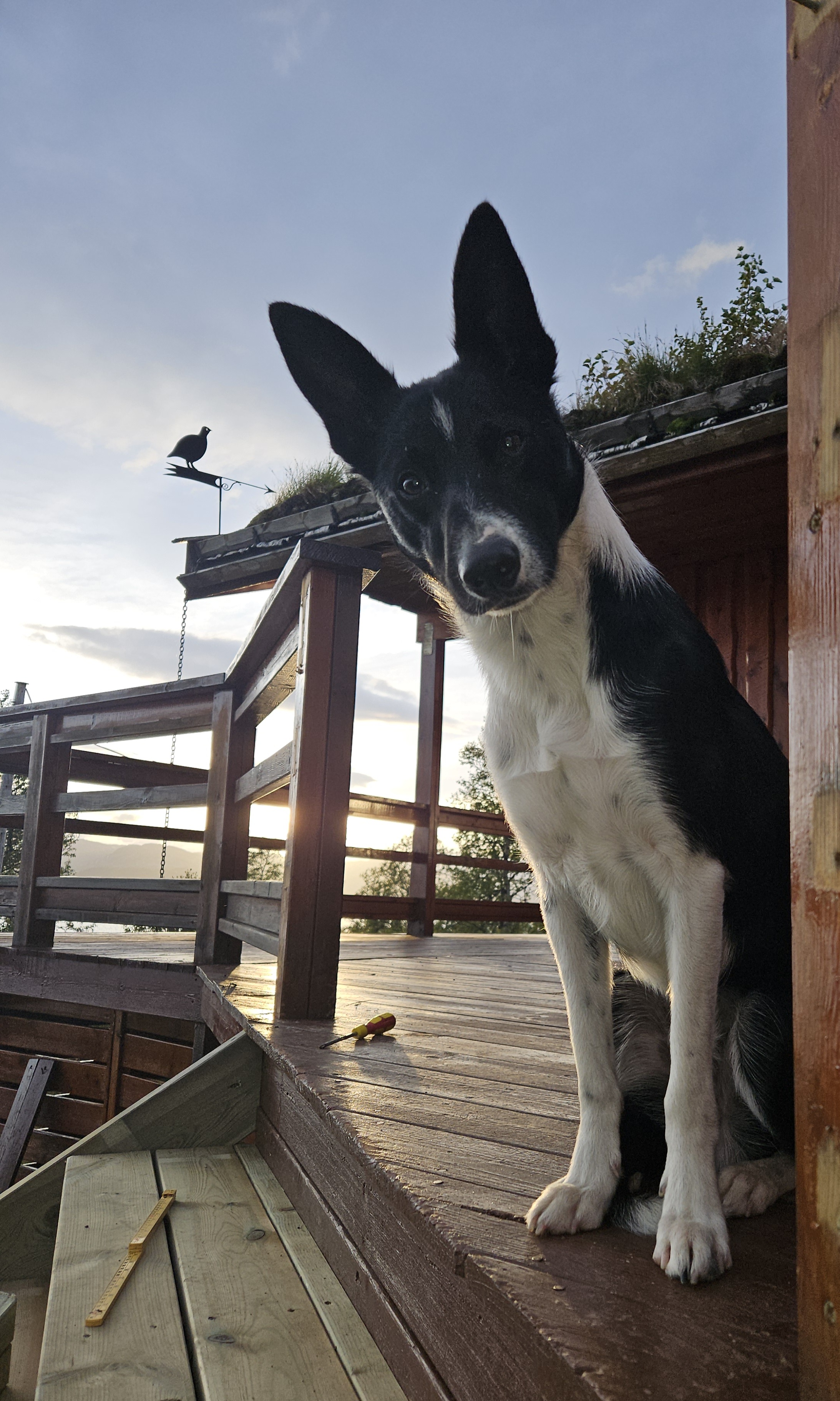 Lisbeth Høyland style=