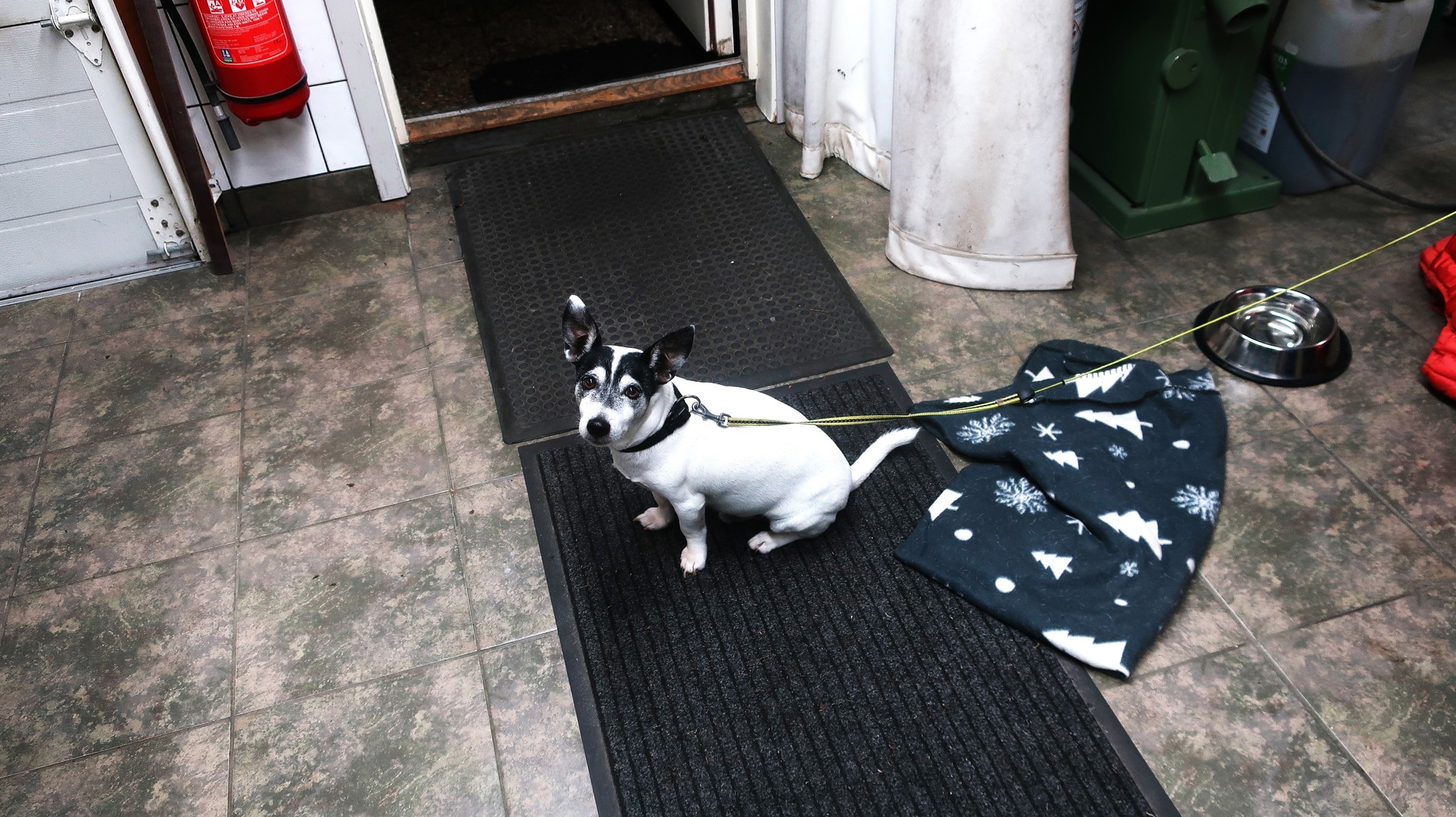 Medlemsmøte Jaguarklinikken. 5.11.2025.