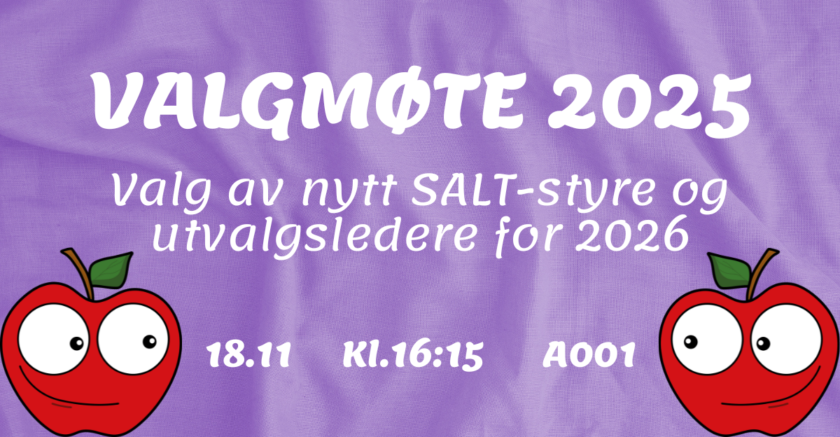 Valgmøte 2025 - Kandidatur