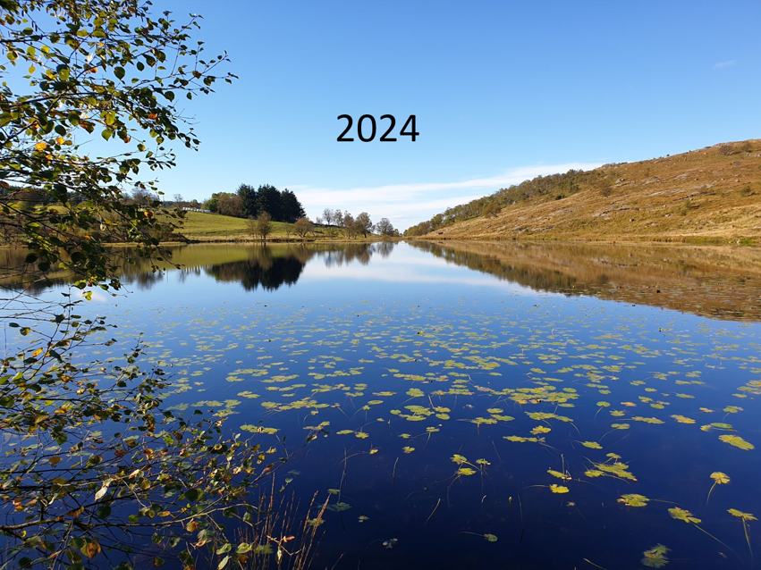 2024 Hva har skjedd?