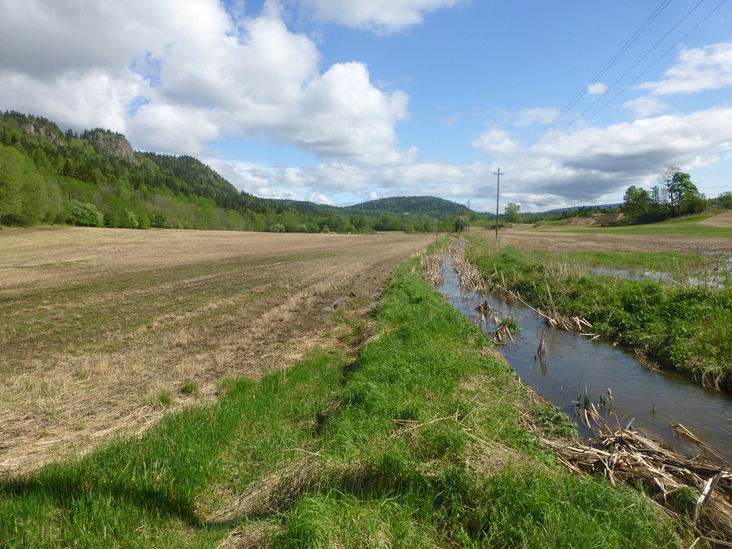 Kantsoner mot vann i Bærum