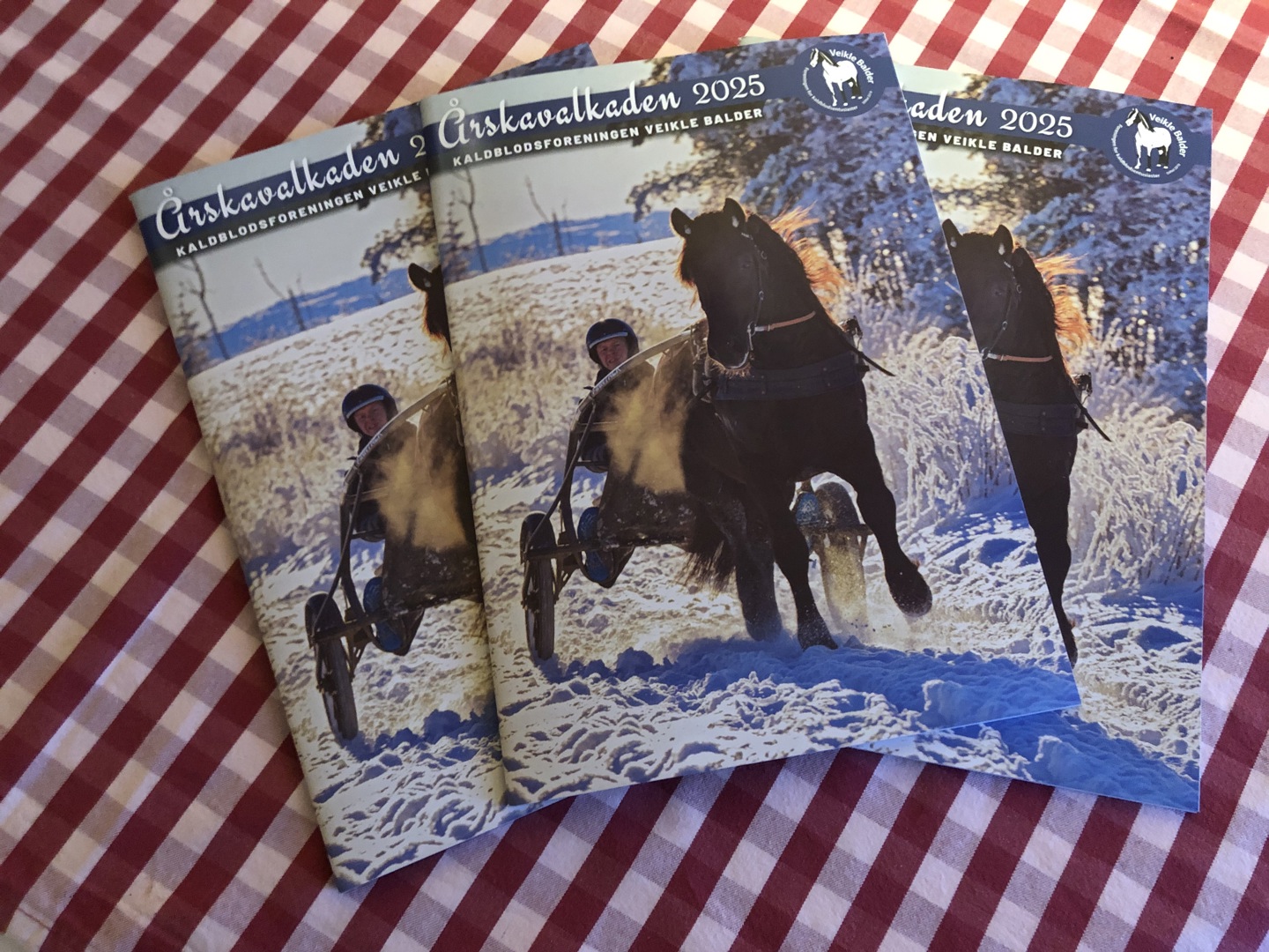 Veikle Balders Årskavalkade 2025