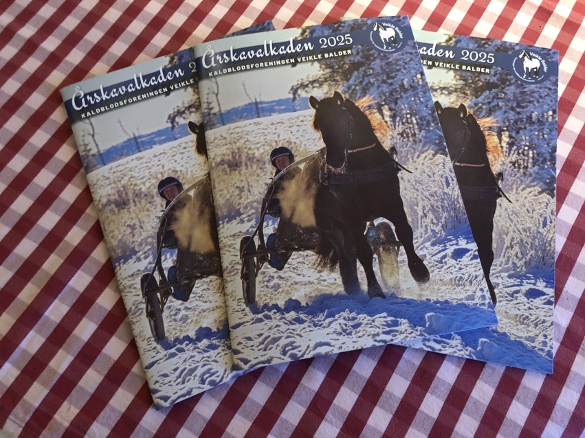 Veikle Balders Årskavalkade 2025