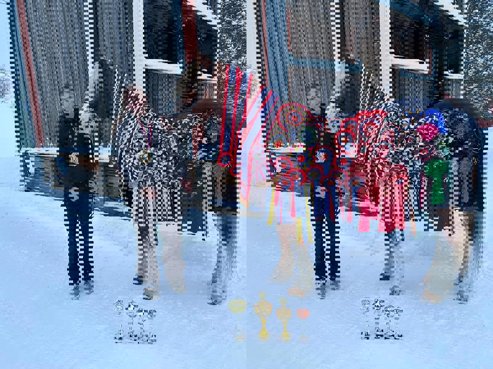 Årets allsidige kaldblodstraver 2025 er kåret