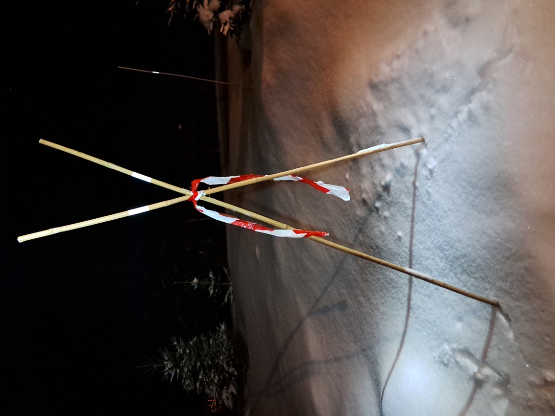 Husk merking før hogsten