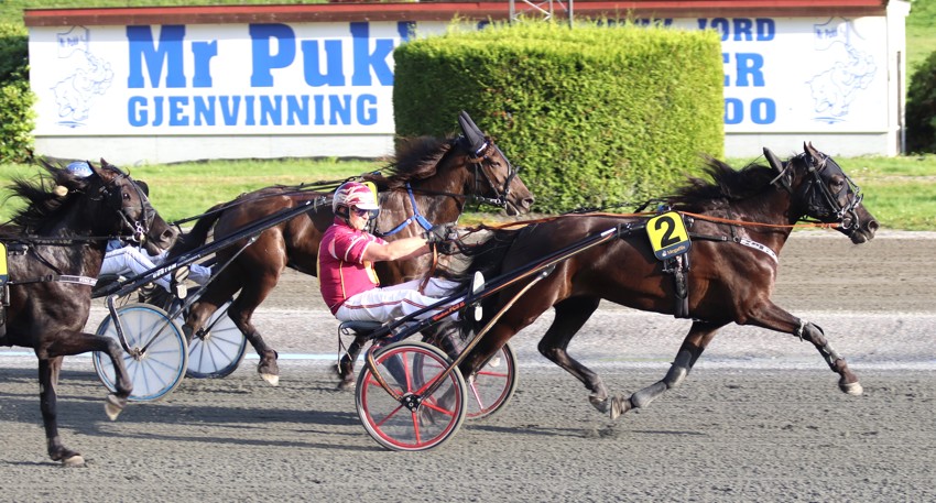 Vi trenger flere svar på undersøkelsen!