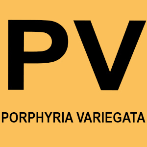 PV
