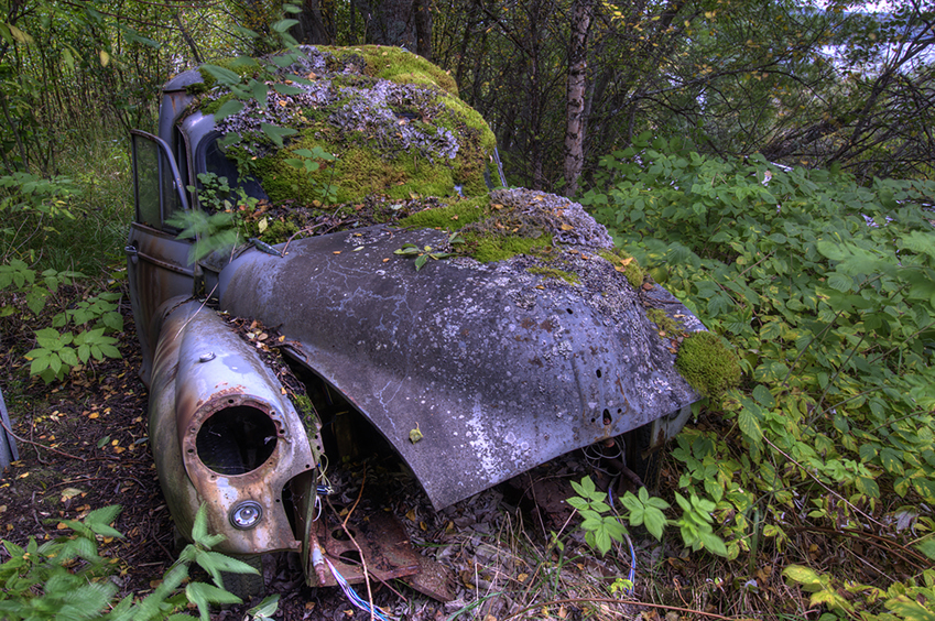 Månadens bilde - Januar 2025