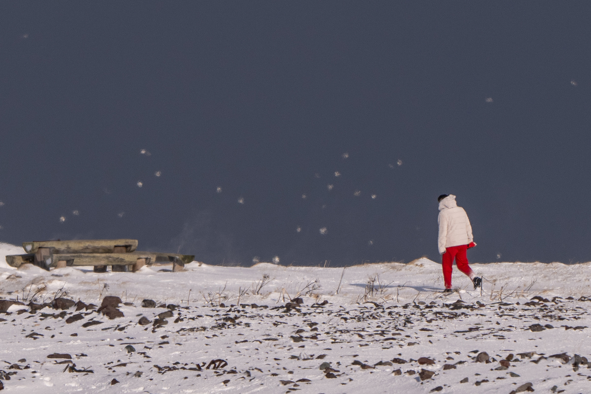 Månadens bilde - Mars, april, mai 2025