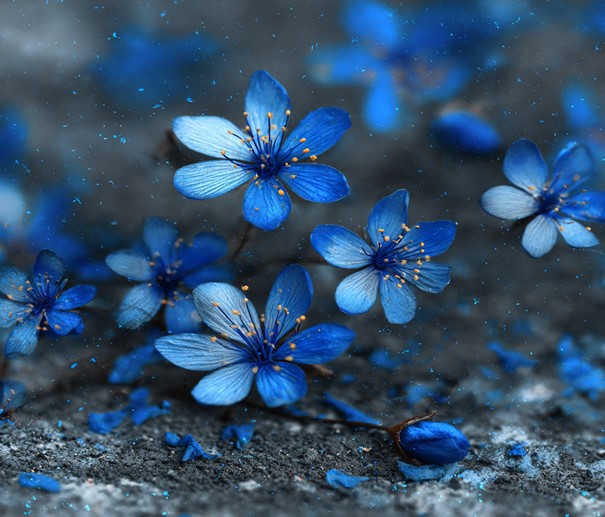 Vårens vervekampanje 2026