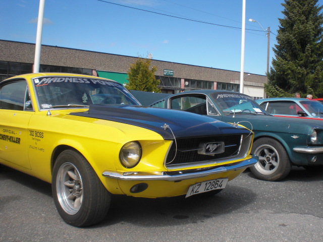 1967 Ford Mustang Lille Gul
