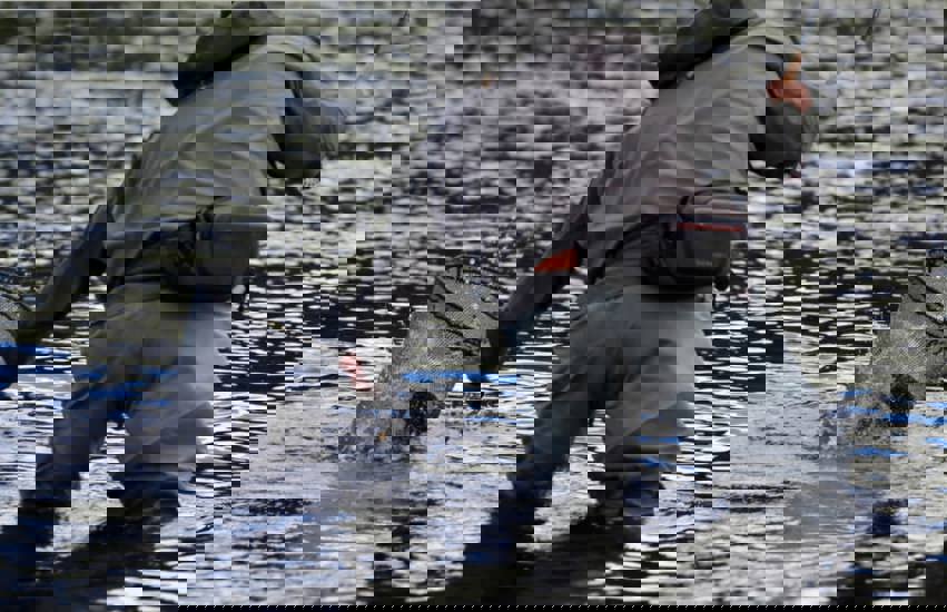 Fluefiskekurs i Tisleidalen 