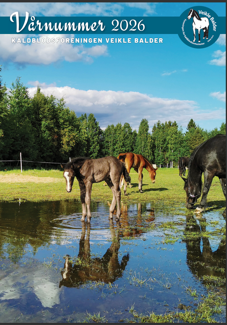 Veikle Balders Vårnummer 2026