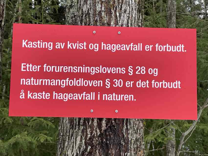 Kvisthaugen