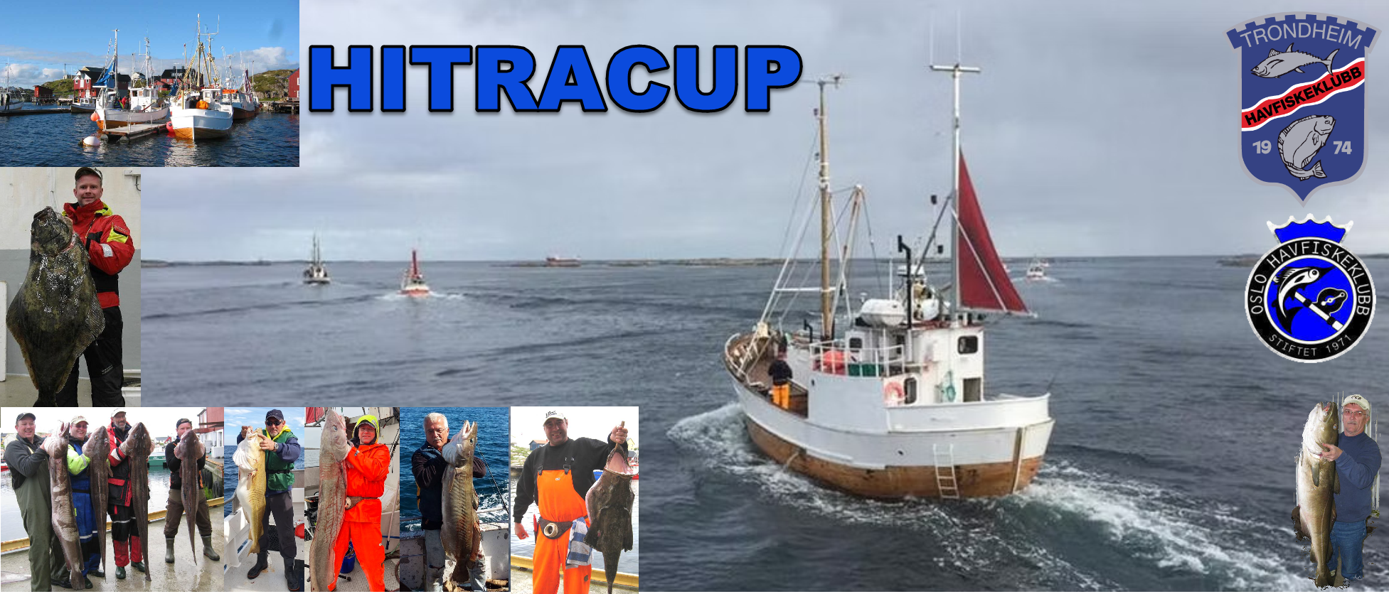 Hitracup 2026