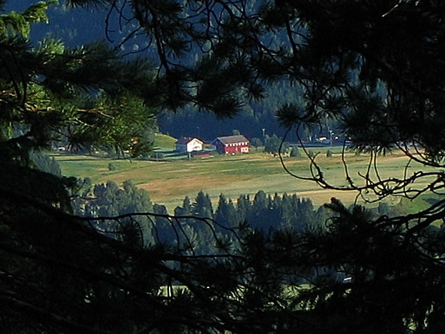 Test av hjemmeside for YSH