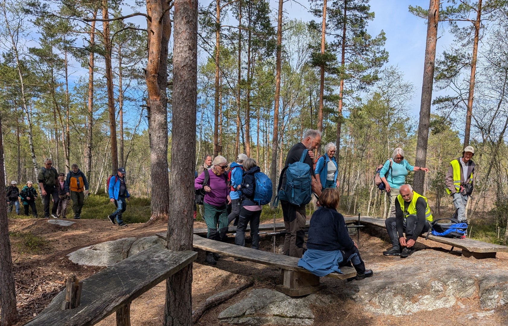 Kyst til kyst 2026 -en flott dag i skogen