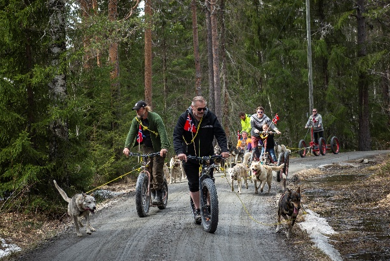 Høstferie for veteranfamilier i Trysil