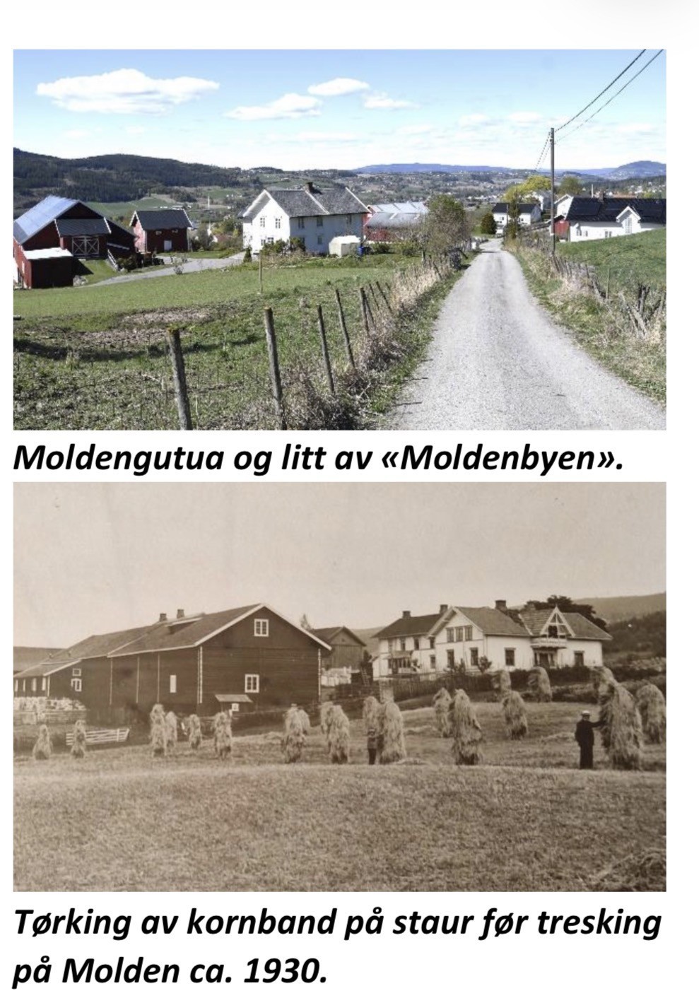 Historisk vandring SÅS - Molden - Romholt 