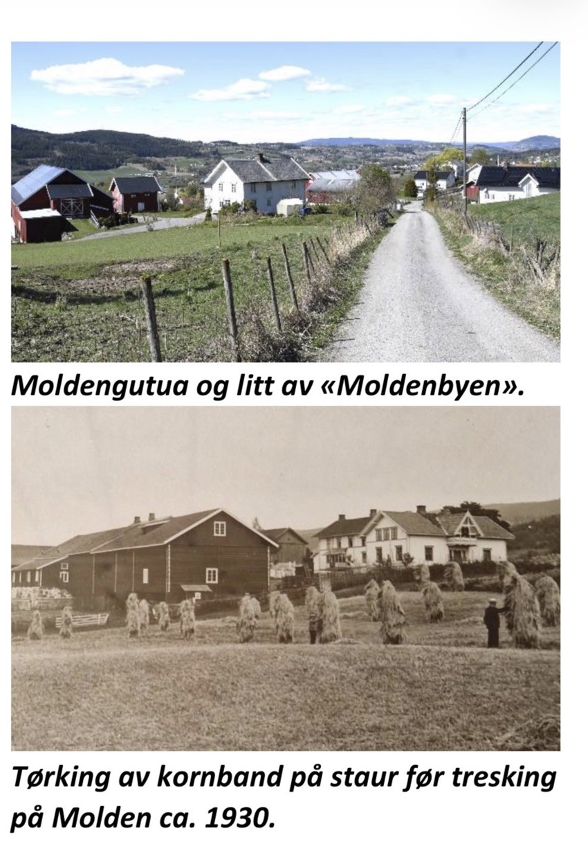 Historisk vandring SÅS - Molden - Romholt 
