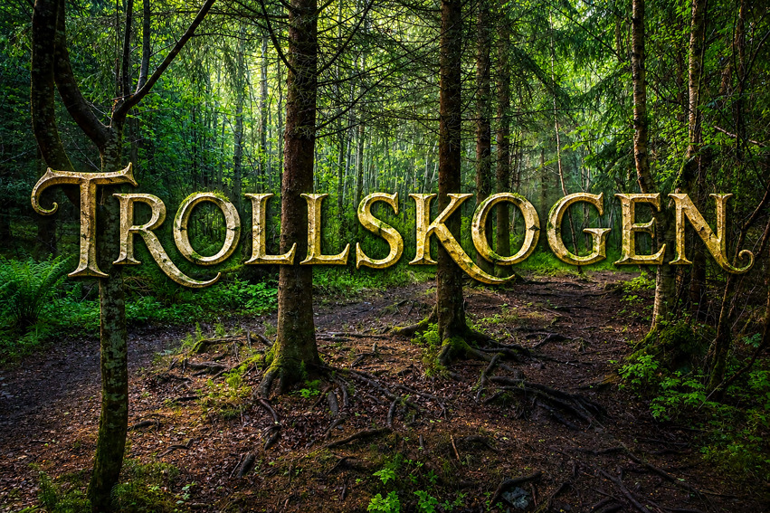 Befaring for tilrettelagt tursti Trollskogen