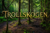 Artikkelbilde til artikkelen Befaring for tilrettelagt tursti Trollskogen