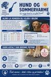 Artikkelbilde til artikkelen Hund og sommervarme - God sommer!
