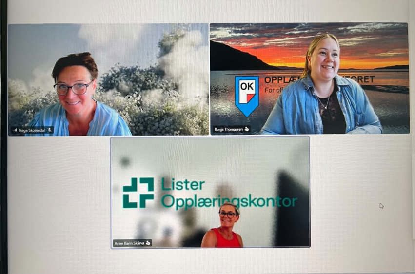 Opprydding i styreweb
