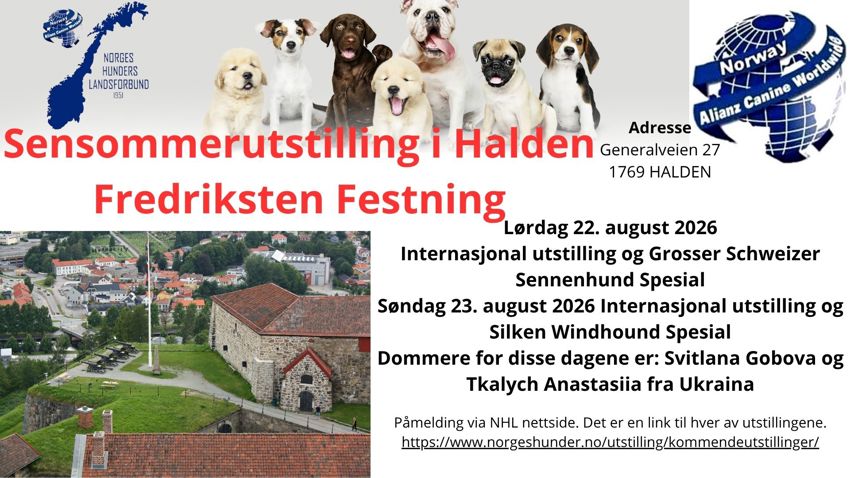Sensommer utstilling Fredriksten 