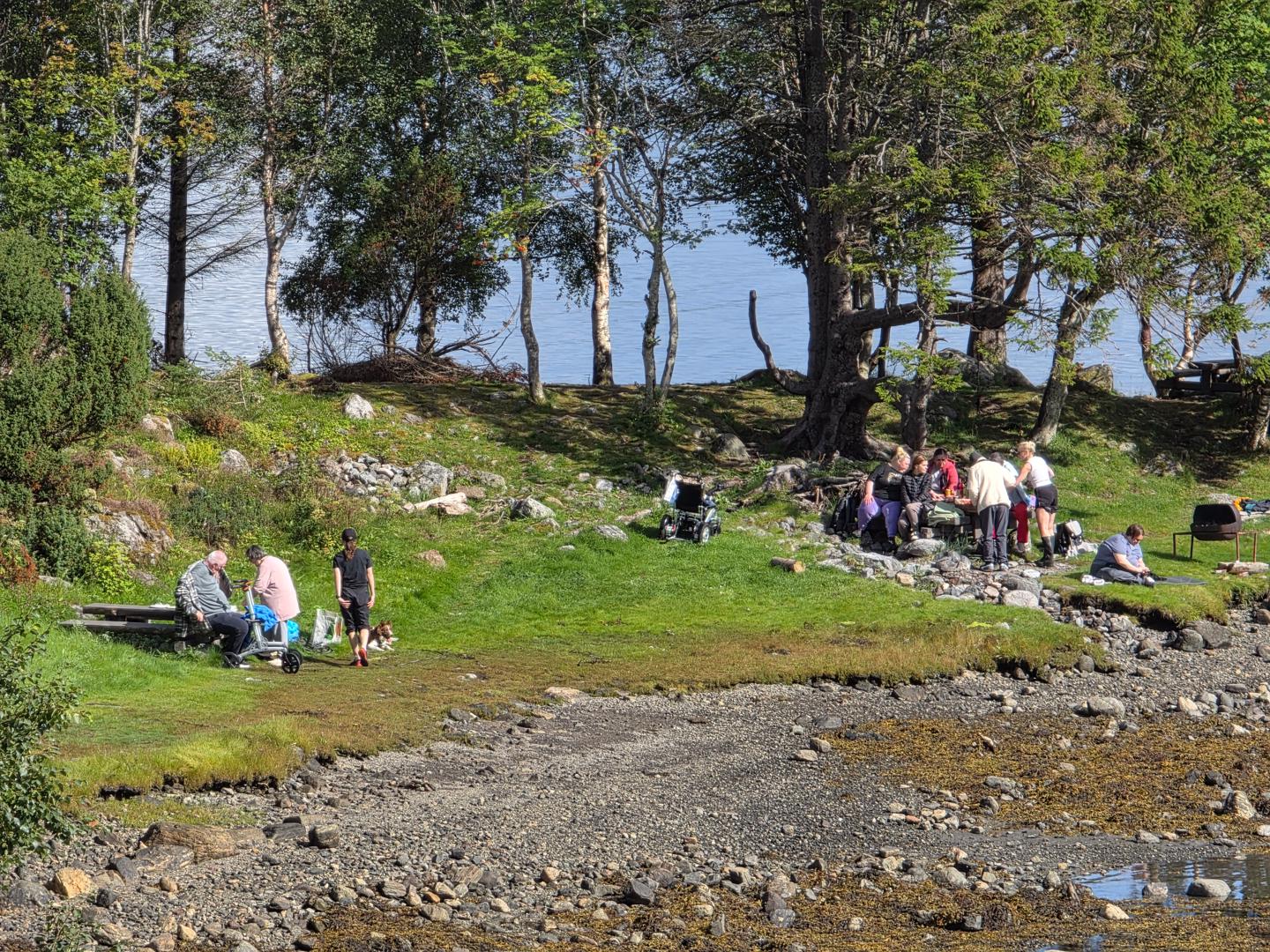 Liv å røre på Ikorneset