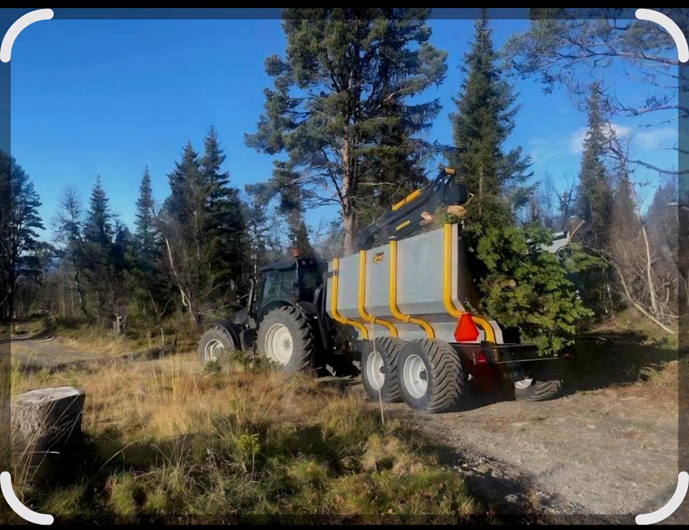 Oppdatering - endringer ifm henting av kvist!