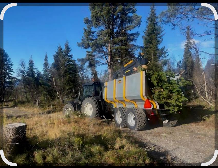 Oppdatering - endringer ifm henting av kvist!