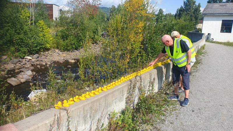 Før løpsdagen var solgt 1000 lodd. Ender med loddnummer 1000 og høyere ble klargjort løpsdagen fordi det ble solgt lodd til 1/2 time før start. Plastkasser med ender plassert ved elvebredden. Startere: Bjørn Hovland, Jens Terje Moen.