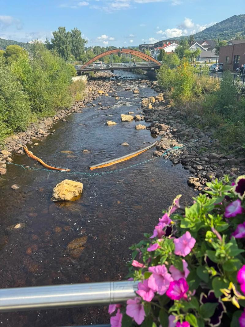 <p>Oljelenser lånt og lagt ut av Ringsaker Brannvesen! Takk for denne hjelpen!</p><p>Legg merke til et fiskegarn som er spendt over elven nedenfor målstreken for å samle opp plastender som kommer seg fordi lensene. Hittil er det ikke fanget ørret i garnet!</p>