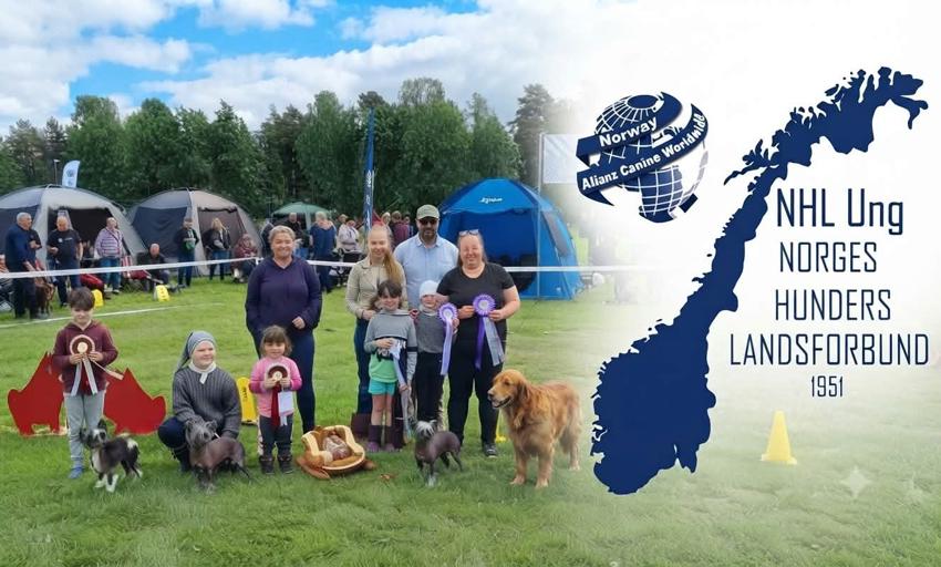 NHL Ung – hunde-glede for neste generasjon 