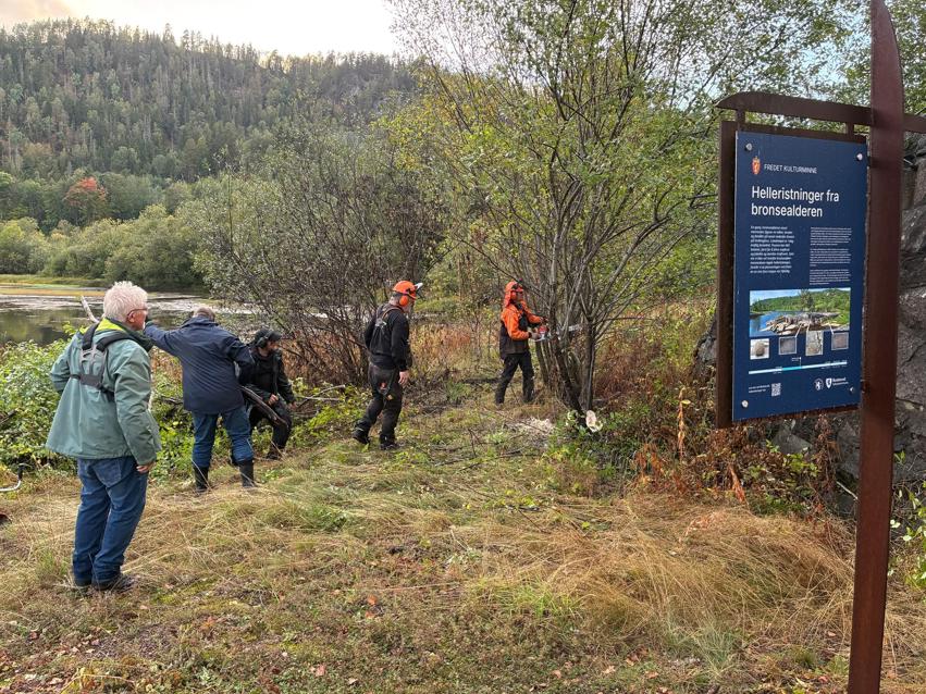 Rydding ved helleristningene ved Hvittingfoss