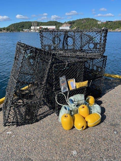 Krabbe og hummerfiske
