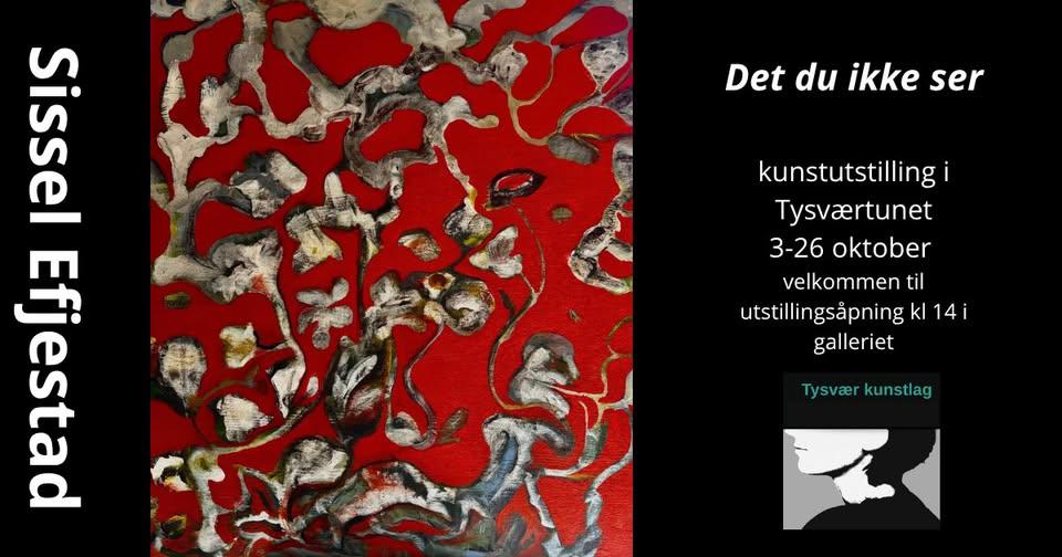 Det du ikke ser - Sissel Efjestad